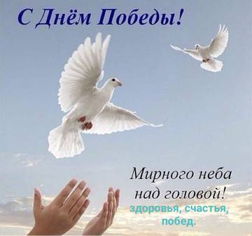http://upforme.ru/uploads/000d/b5/96/2/t808552.jpg