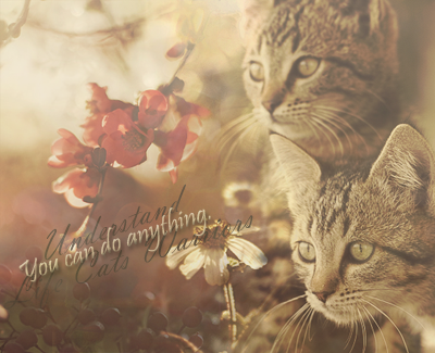http://upforme.ru/uploads/000d/c2/60/2485-1-f.png