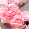 http://upforme.ru/uploads/000d/c8/b1/5498-2.png
