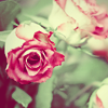 http://upforme.ru/uploads/000d/c8/b1/5498-4.png