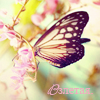 http://upforme.ru/uploads/000d/c8/b1/5498-5.png