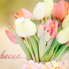 http://upforme.ru/uploads/000d/c8/b1/5499-1.png