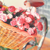 http://upforme.ru/uploads/000d/c8/b1/5499-2.png