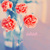 http://upforme.ru/uploads/000d/c8/b1/5499-3.png