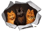 http://upforme.ru/uploads/000d/ee/23/421-2.gif