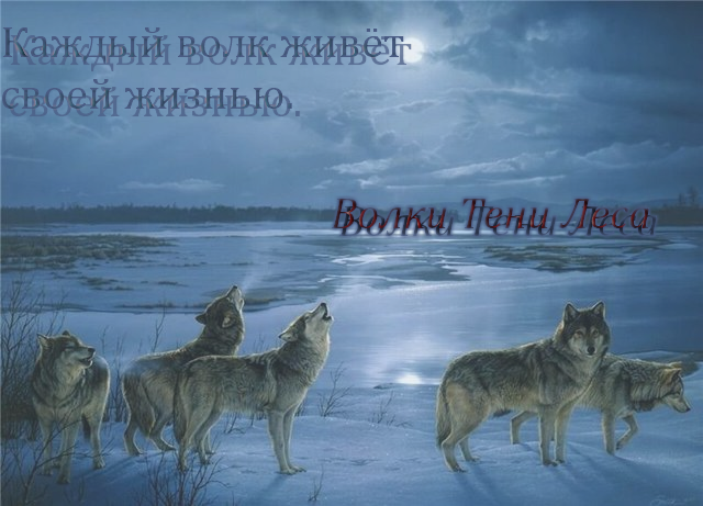 http://upforme.ru/uploads/000d/f0/86/10-1-f.png
