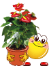 http://upforme.ru/uploads/000d/ff/24/43813-2.gif