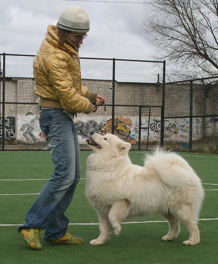 http://upforme.ru/uploads/000e/07/d5/13895-1-f.jpg