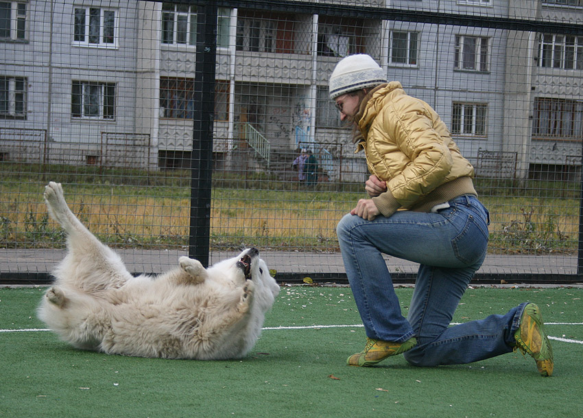 http://upforme.ru/uploads/000e/07/d5/13895-2-f.jpg