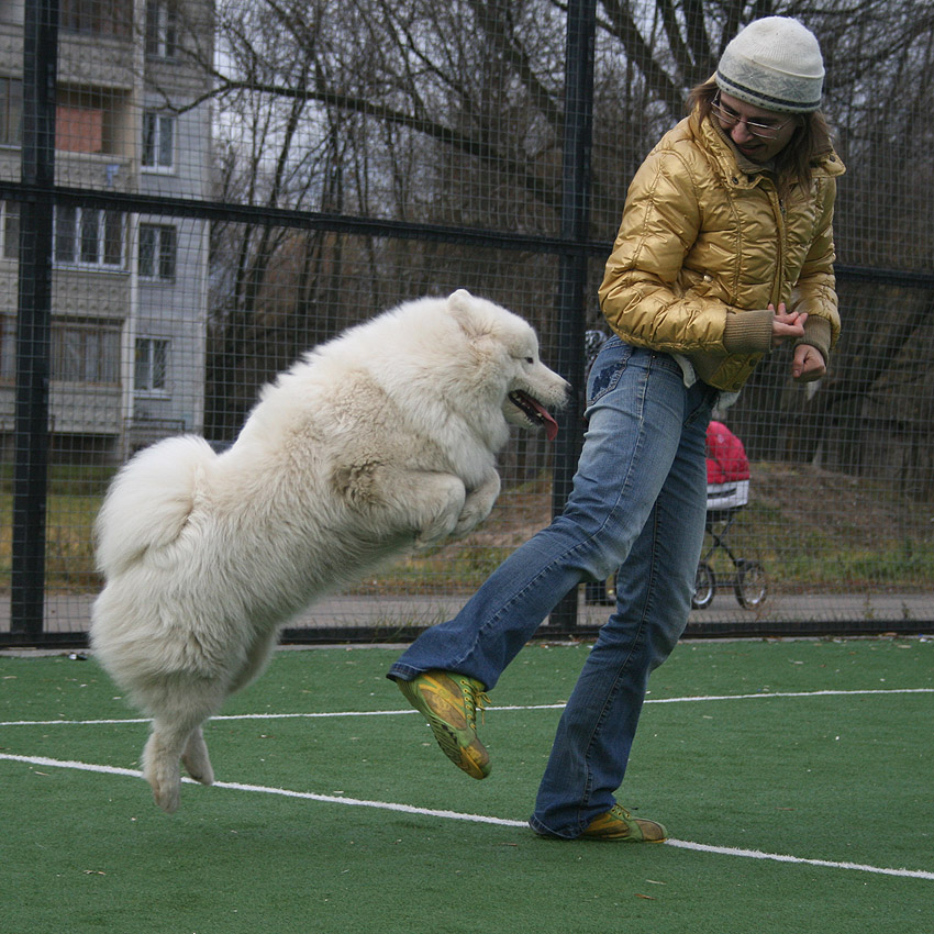 http://upforme.ru/uploads/000e/07/d5/13895-3-f.jpg