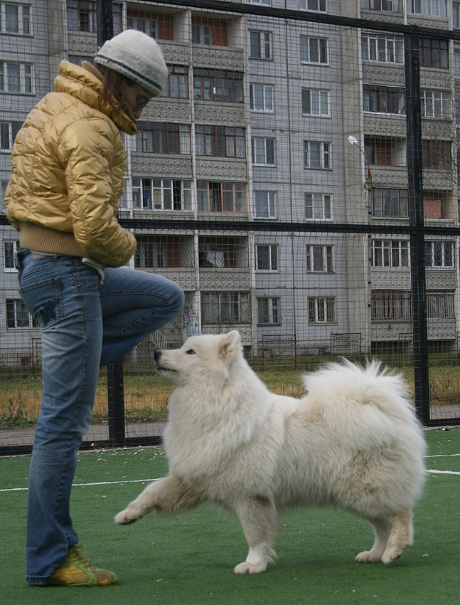 http://upforme.ru/uploads/000e/07/d5/13895-4-f.jpg