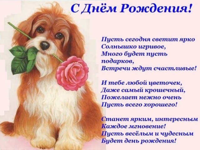 http://upforme.ru/uploads/000e/14/cc/186-1-f.jpg