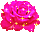 http://upforme.ru/uploads/000e/14/cc/73-2.gif