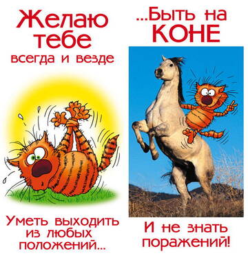 http://upforme.ru/uploads/000e/15/b8/2002/t634925.jpg