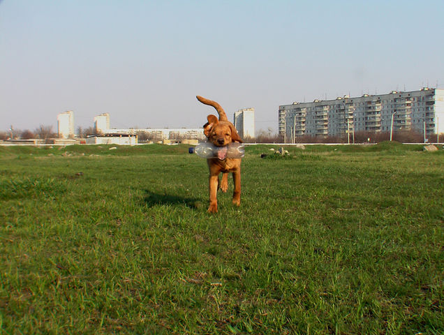 http://upforme.ru/uploads/000e/19/be/2254-1-f.jpg