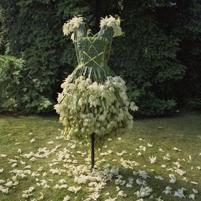 http://upforme.ru/uploads/000e/1b/4c/8611-1-f.jpg