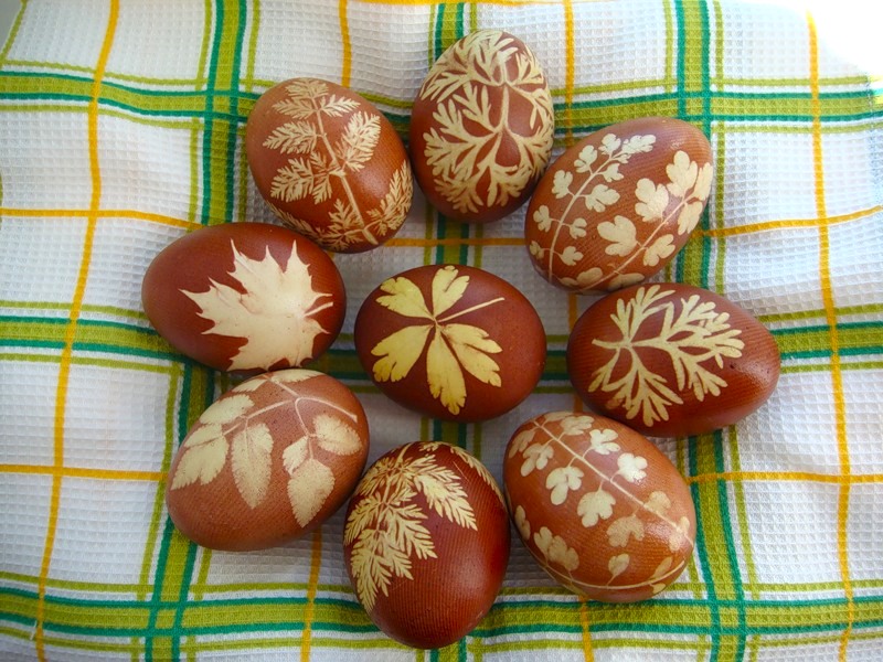 http://upforme.ru/uploads/000e/1b/4c/8970-1-f.jpg