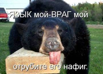 http://upforme.ru/uploads/000e/25/51/101/t915594.jpg