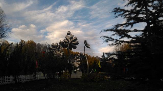http://upforme.ru/uploads/000e/25/51/2/65603.jpg