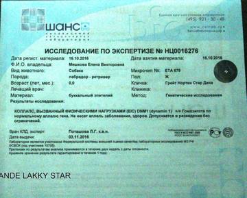 http://upforme.ru/uploads/000e/26/2d/2/t12520.jpg