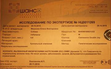 http://upforme.ru/uploads/000e/26/2d/2/t29894.jpg