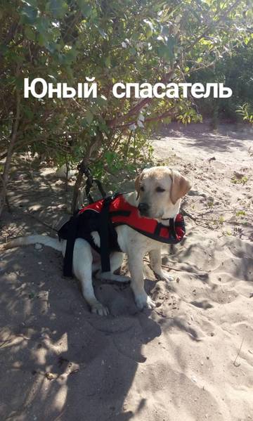 http://upforme.ru/uploads/000e/26/2d/2/t408144.jpg
