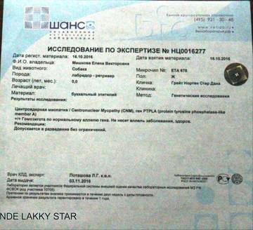 http://upforme.ru/uploads/000e/26/2d/2/t60912.jpg
