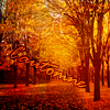 http://upforme.ru/uploads/000e/32/ad/14170-4.png