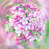 http://upforme.ru/uploads/000e/32/ad/27721-5.jpg