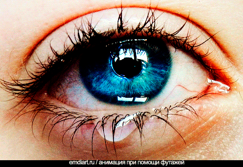 http://upforme.ru/uploads/000e/32/ad/29752-1-f.gif