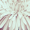 http://upforme.ru/uploads/000e/32/ad/35448-5.png