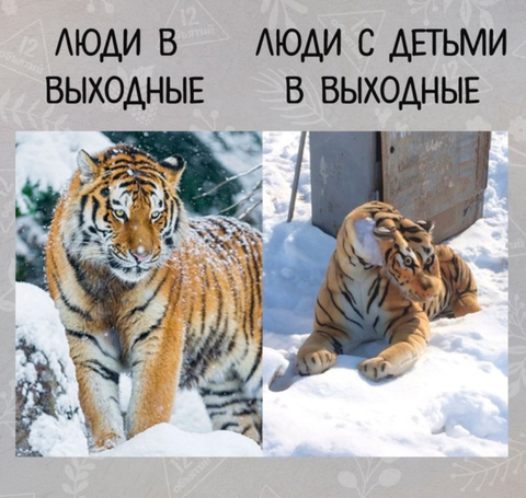 http://upforme.ru/uploads/000e/3d/72/173/t191993.png