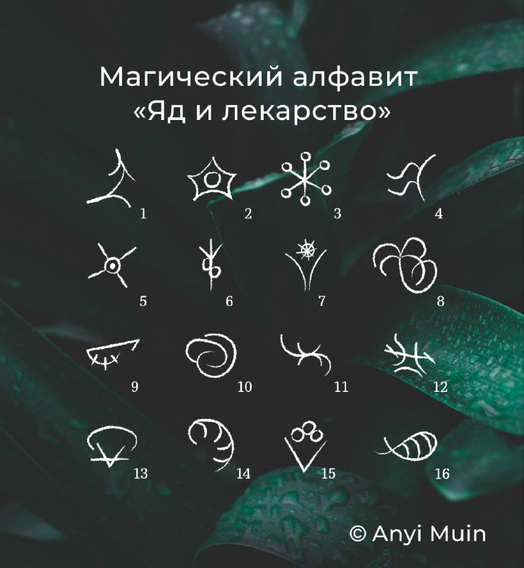 http://upforme.ru/uploads/000e/3d/72/40/195721.jpg