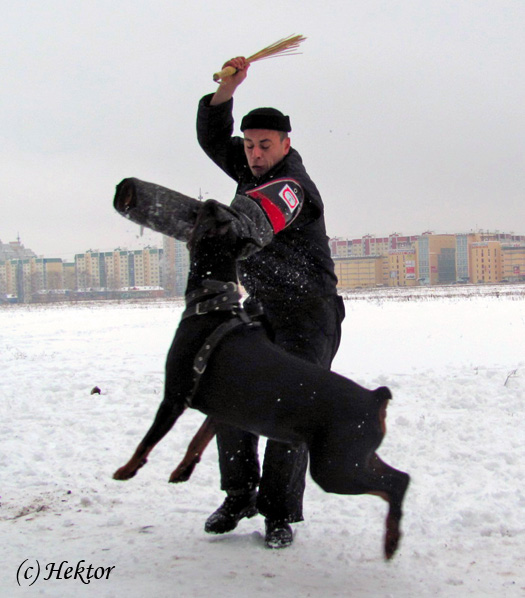 http://upforme.ru/uploads/000e/45/e4/576-4-f.jpg