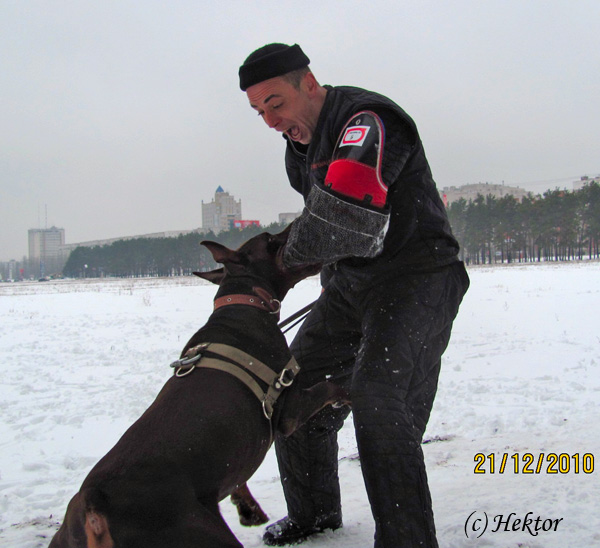 http://upforme.ru/uploads/000e/45/e4/580-4-f.jpg