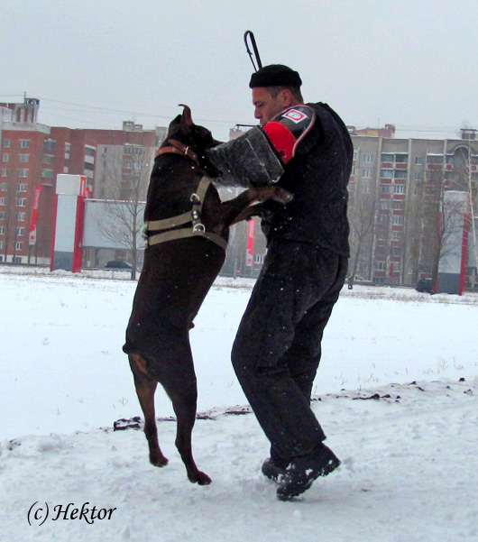 http://upforme.ru/uploads/000e/45/e4/581-2-f.jpg