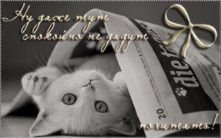 http://upforme.ru/uploads/000e/4b/cb/256-2.jpg