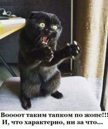 http://upforme.ru/uploads/000e/4e/24/1868/t24535.jpg