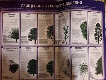 http://upforme.ru/uploads/000e/4e/24/407/t35529.jpg