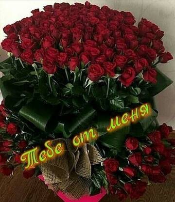 http://upforme.ru/uploads/000e/4e/24/407/t393027.jpg