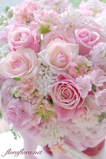 http://upforme.ru/uploads/000e/4e/24/407/t53867.jpg