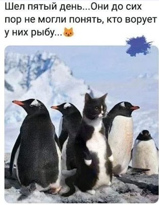 http://upforme.ru/uploads/000e/4e/24/421/t58915.jpg