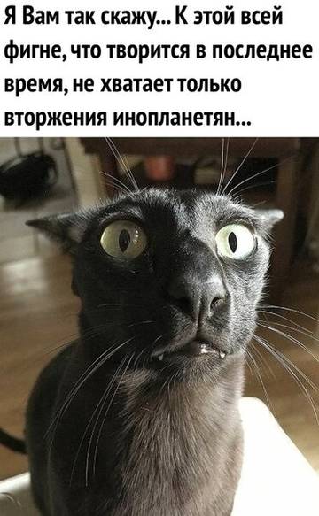 http://upforme.ru/uploads/000e/4e/24/5/t16347.jpg
