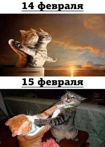 http://upforme.ru/uploads/000e/4e/24/5/t88645.jpg
