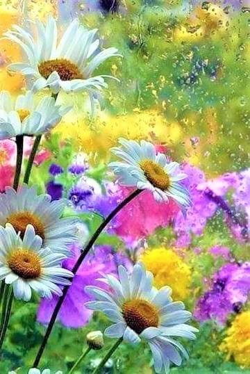 http://upforme.ru/uploads/000e/4e/24/636/t60206.jpg