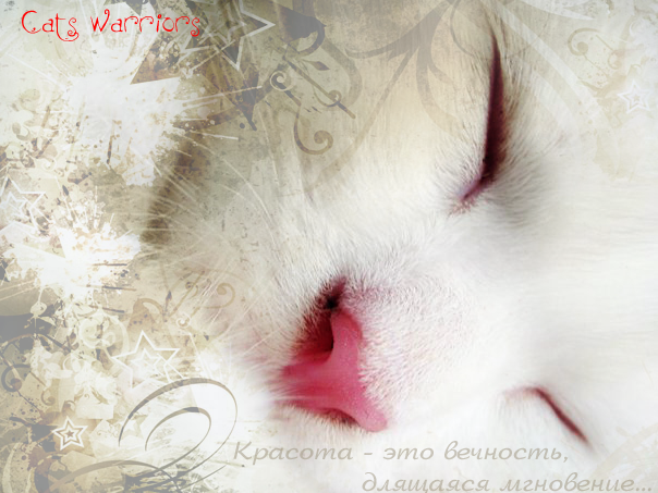 http://upforme.ru/uploads/000e/57/37/416-1-f.png
