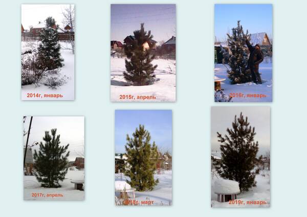 http://upforme.ru/uploads/000e/60/10/12/t392644.jpg