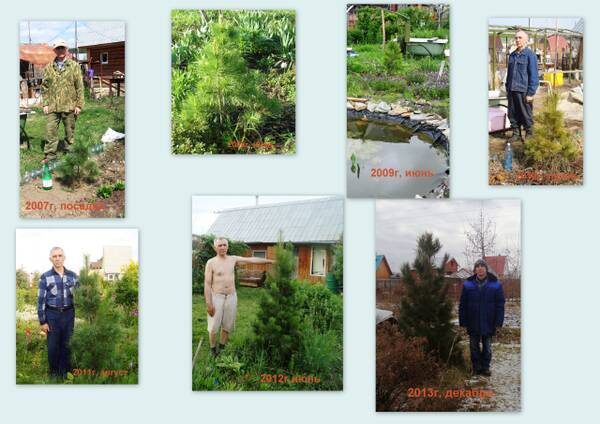 http://upforme.ru/uploads/000e/60/10/12/t77850.jpg