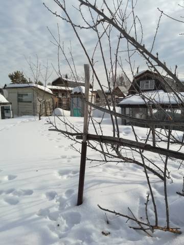 http://upforme.ru/uploads/000e/60/10/387/t31364.jpg