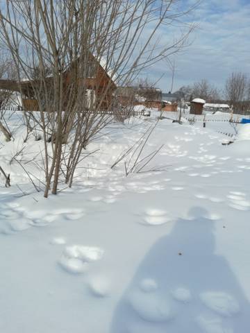 http://upforme.ru/uploads/000e/60/10/387/t34996.jpg